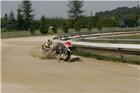 St. Leger_Czech_Greyhound_Racing_Federation_NQ1M5381.JPG
