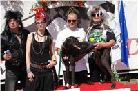 St. Leger_Czech_Greyhound_Racing_Federation_DSC06462.JPG
