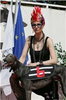 St. Leger_Czech_Greyhound_Racing_Federation_NQ1M5396.JPG