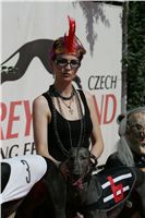 St. Leger_Czech_Greyhound_Racing_Federation_NQ1M5402.JPG