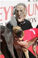 St. Leger_Czech_Greyhound_Racing_Federation_NQ1M5403.JPG