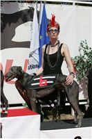 St. Leger_Czech_Greyhound_Racing_Federation_NQ1M5405.JPG