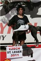 St. Leger_Czech_Greyhound_Racing_Federation_NQ1M5407.JPG