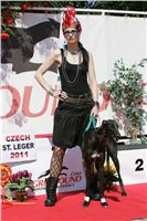St. Leger_Czech_Greyhound_Racing_Federation_NQ1M5531.JPG