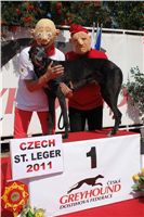 chrti_dostihy_St. Leger_Czech_Greyhound_Racing_Federation_DSC06362.JPG