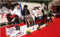 chrti_dostihy_St-Leger_Czech_Greyhound_Racing_Federation_DSC06428.jpg