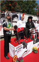 chrti_dostihy_St. Leger_Czech_Greyhound_Racing_Federation_DSC06432.JPG