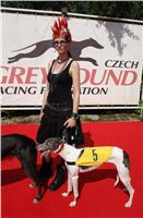chrti_dostihy_St. Leger_Czech_Greyhound_Racing_Federation_DSC06436.JPG