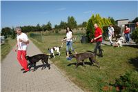 chrti_dostihy_St. Leger_Czech_Greyhound_Racing_Federation_DSC06491.JPG