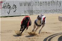 chrti_dostihy_St. Leger_Czech_Greyhound_Racing_Federation_DSC09206.JPG