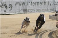 chrti_dostihy_St. Leger_Czech_Greyhound_Racing_Federation_DSC09218.JPG