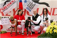 Greyhound_Schooling_Academy_Czech_Greyhound_Racing_Federation_NQ1M8922.JPG