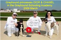 Dior_Greyhound_Schooling_Academy_Czech_Greyhound_Racing_Federation_DSC00301.jpg