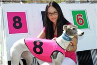 Pink_greyhound_model_CHANEL_Czech_Greyhound_Race_Track_Prague_0637.jpg