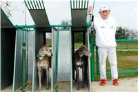 Andy_Aldo_87m_Czech_Greyhound_Racing_Federation_DSC06449.jpg