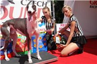 Cayenn_Czech_Greyhound_Racing_Federation_DSC00152.JPG