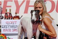 White_Elbony_Secret_Greyhound_Race_Czechound_Racing_Federation_ DSC07974.JPG