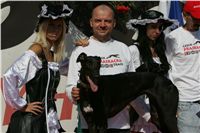 2. Mount_Cappucine´s_Jamaica_Secret_Greyhound_Race_CGDF_.JPG 2-Mount_Cappucine-s_Jamaica_Secret_Greyhound_Race_CGDF_.jpg