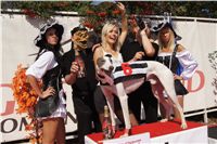 2-White_Secret_Greyhound_Race_Czech_Greyhound_Racing_Federation_DSC00556.jpg