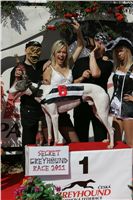 Chrt_White_Elbony_Czech_Greyhound_Racing_Federation_NQ1M8471.JPG