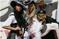 Galrea_Chanel_Secret_Greyhound_Race_CGDF_NQ1M8008.JPG Galrea_Chanel_Secret_Greyhound_Race_CGDF_NQ1M8008.jpg