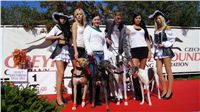 Secret_Greyhound_Race_300m_Czech-Greyhound_Racing_Federation_DSC00358.JPG