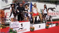 Secret_Greyhound_Race_Czech_Greyhound_Racing_Federation_DSC00388.JPG