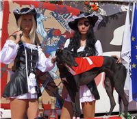 Secret_Greyhound_Race_Czech_Greyhound_Racing_Federation_DSC00449.JPG Secret_Greyhound_Race_Czech_Greyhound_Racing_Federation_DSC00449.jpg