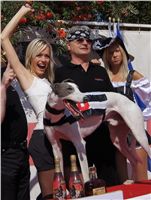 Secret_Greyhound_Race_Czech_Greyhound_Racing_Federation_DSC00550-v.JPG