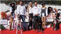 Secret_Greyhound_Race_Czech_Greyhound_Racing_Federation_DSC00597.JPG