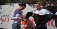 Secret_Greyhound_Race_Czech_Greyhound_Racing_Federation_DSC00638.JPG