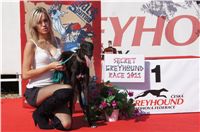 Secret_Greyhound_Race_Czech_Greyhound_Racing_Federation_DSC00673.JPG