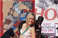 Secret_Greyhound_Race_Czech_Greyhound_Racing_Federation_DSC00680.JPG
