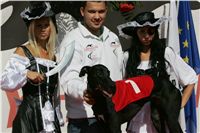 Secret_Greyhound_Race_Czech_Greyhound_Racing_Federation_NQ1M8197.JPG