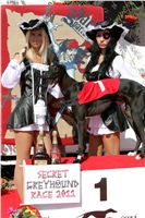 Secret_Greyhound_Race_Czech_Greyhound_Racing_Federation_NQ1M8209.JPG