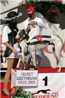 Secret_Greyhound_Race_Czech_Greyhound_Racing_Federation_NQ1M8421.JPG