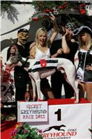 Secret_Greyhound_Race_Czech_Greyhound_Racing_Federation_NQ1M8471.JPG