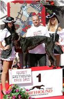 Secret_Greyhound_Race_Czech_Greyhound_Racing_Federation_NQ1M8598.JPG