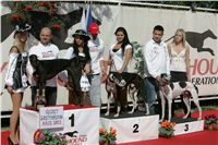Secret_Greyhound_Race_Czech_Greyhound_Racing_Federation_NQ1M8684.JPG