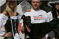 Secret_Greyhound_Race_Czech_Greyhound_Racing_Federation_NQ1M8688.JPG