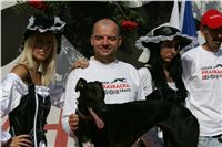 Secret_Greyhound_Race_Czech_Greyhound_Racing_Federation_NQ1M8689.JPG