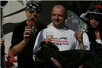 Secret_Greyhound_Race_Czech_Greyhound_Racing_Federation_NQ1M8732.JPG