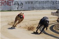 Secret_Greyhound_Race_2011_Czech_Greyhound_Racing_Federation_DSC00367.JPG
