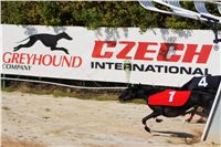 Secret_Greyhound_Race_2011_Czech_Greyhound_Racing_Federation_DSC00497.JPG