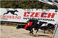 Secret_Greyhound_Race_2011_Czech_Greyhound_Racing_Federation_DSC00498.JPG