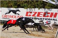Secret_Greyhound_Race_2011_Czech_Greyhound_Racing_Federation_DSC00499.JPG