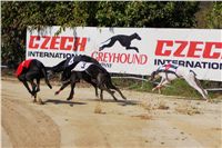 Secret_Greyhound_Race_2011_Czech_Greyhound_Racing_Federation_DSC00503.JPG