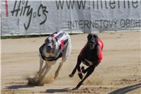 Secret_Greyhound_Race_2011_Czech_Greyhound_Racing_Federation_DSC00511.JPG