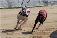 Secret_Greyhound_Race_2011_Czech_Greyhound_Racing_Federation_DSC00512.JPG