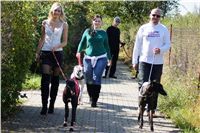 dostihy_chrtu_Secret_Greyhound_Race_Czech_Greyhound_Racing_Federation_DSC00494.JPG